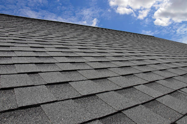 Best Skylight Installation and Repair  in Gila Bend, AZ